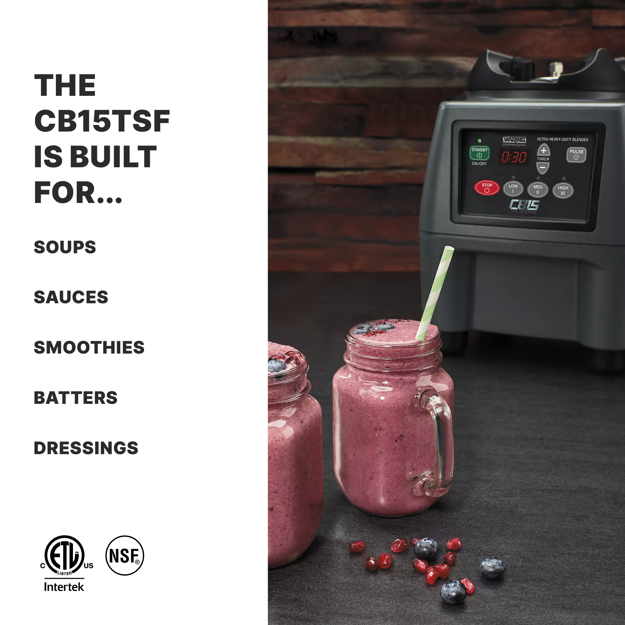 The Legend One-Gallon Food Blender with Spigot and Timer